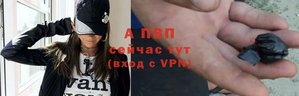 бошки Корсаков