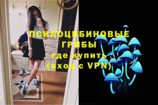 бошки Корсаков