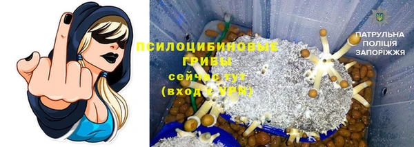 бошки Корсаков