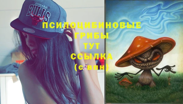 герыч Коряжма