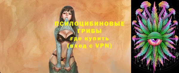 Альфа ПВП Костерёво