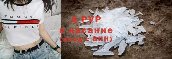 бошки Корсаков