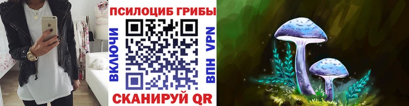 Галлюциногенные грибы мицелий  купить закладку  Ленинградская 